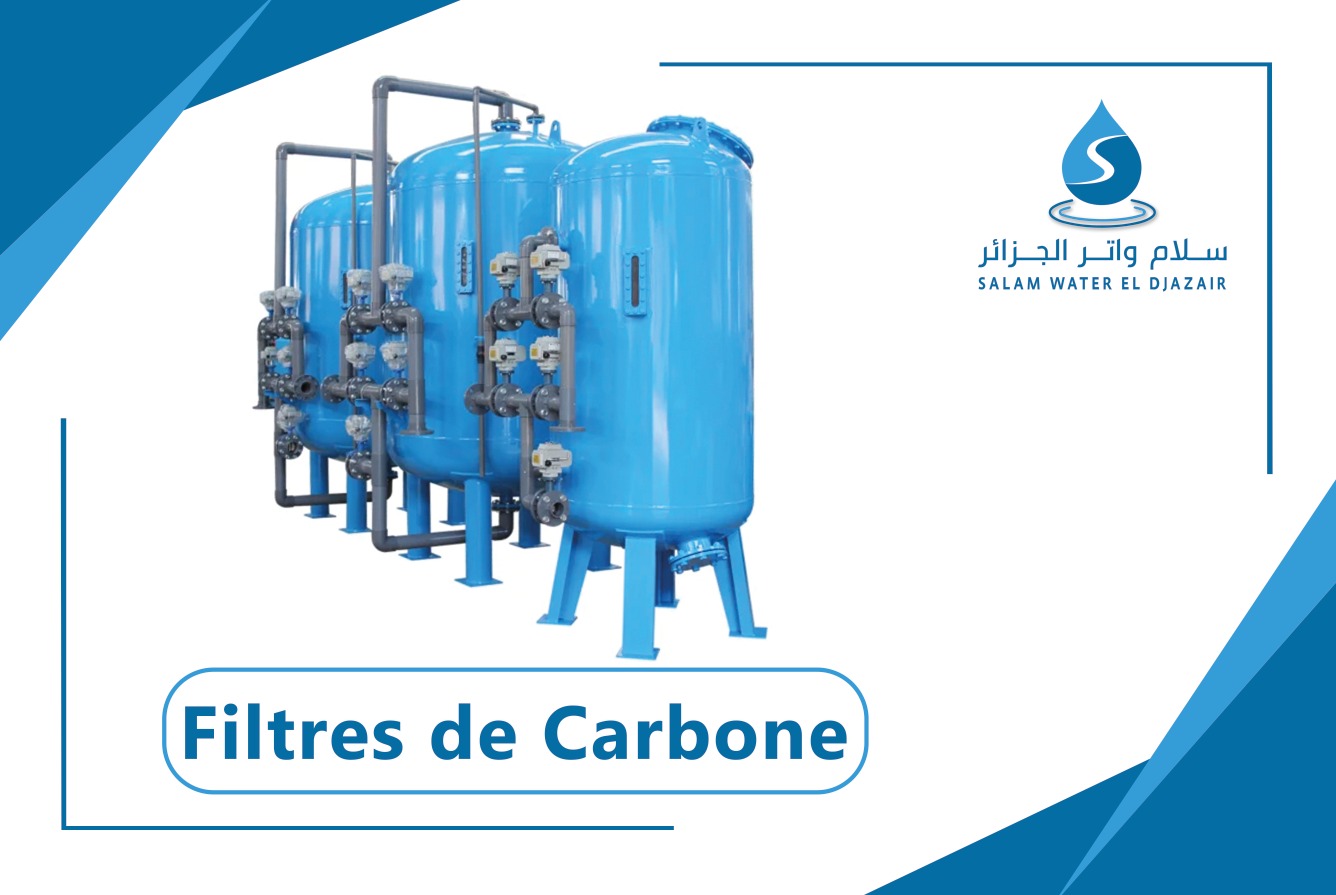 Filtre de Carbone